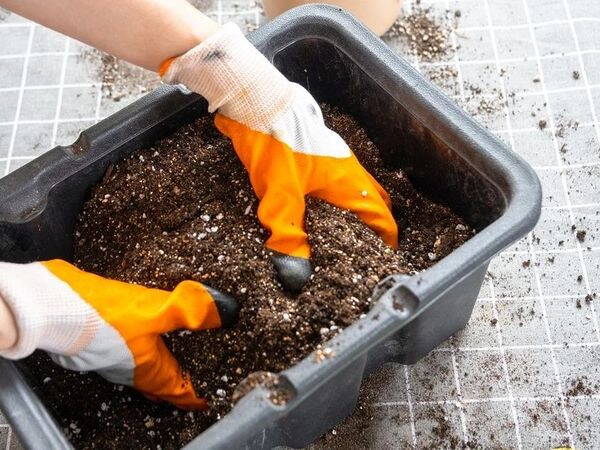 7 рецептів ґрунту для розсади, який можна заготовити вже зараз