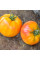 Tomato seeds «Blushing bride»