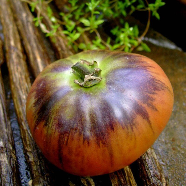 Tomato seeds «Ozark Sunrise»