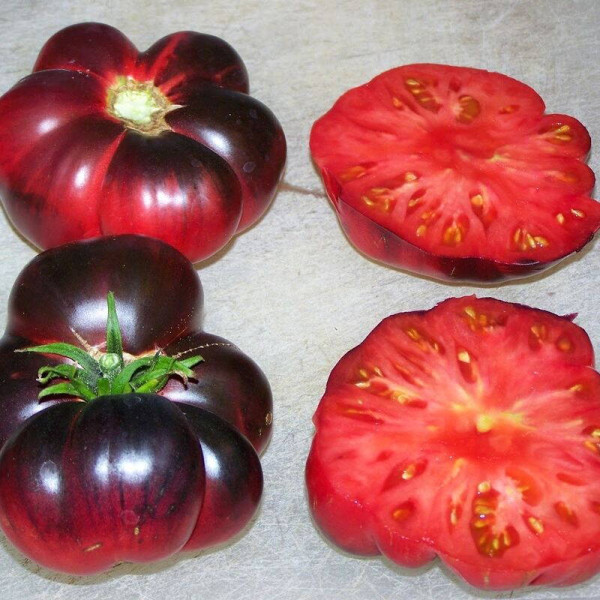 Tomato seeds «Ozark Sunrise»