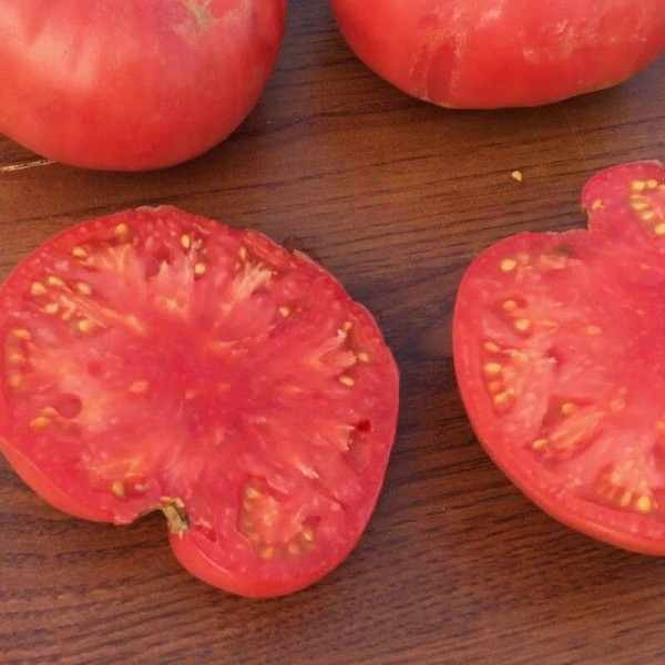Tomato seeds «Elderly»