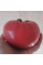 Tomato seeds «Elderly»