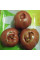 Tomato seeds «Black smile»
