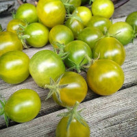 Tomato seeds «The Grinch»
