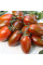 Tomato seeds «Tomarindo multicolor»