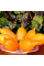 Tomato seeds «Pinocchio»