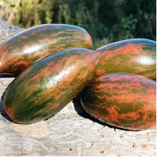 Tomato seeds «Purple emerald»