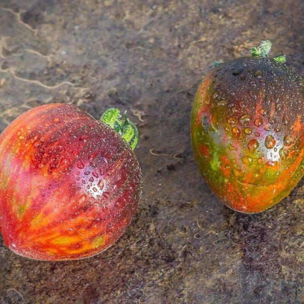Tomato seeds «Extravagante rouffiange»