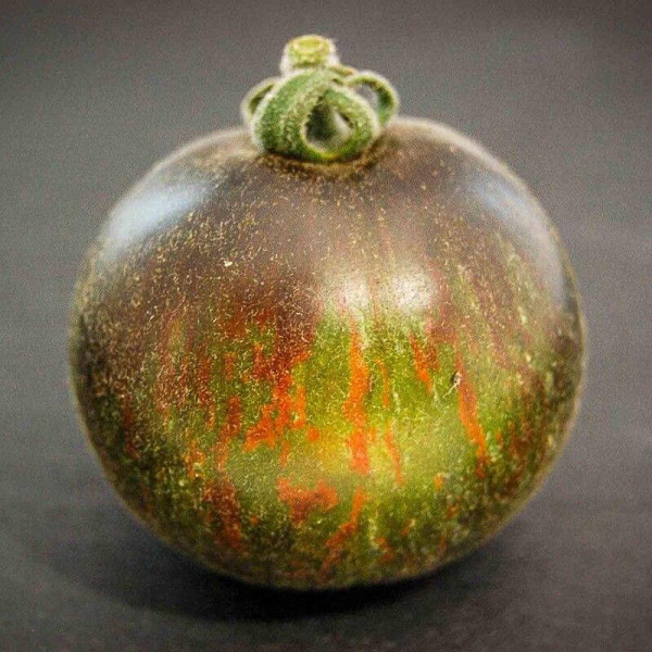Tomato seeds «Extravagante rouffiange»