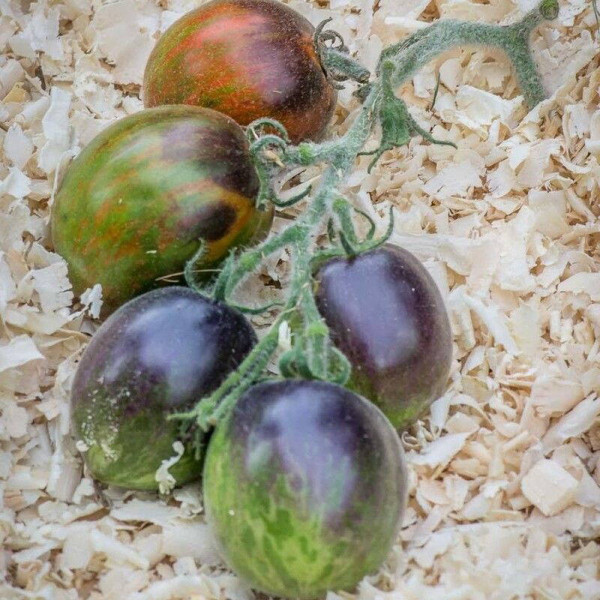 Tomato seeds «Extravagante rouffiange»