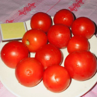 Tomato seeds «Upstart»