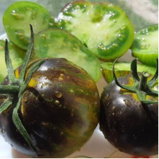 Tomato seeds «3242 AL» (Albo Green)