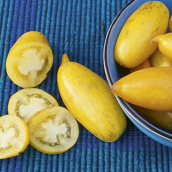 Tomato seeds «Banana Legs»