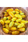 Tomato seeds «Banana Legs»