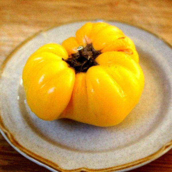 Tomato seeds «Lillian's Yellow»