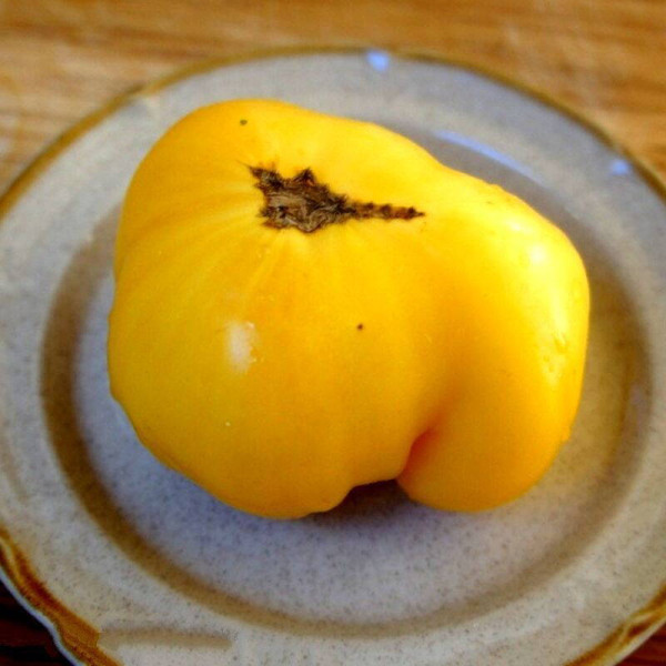 Tomato seeds «Lillian's Yellow»