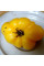 Tomato seeds «Lillian's Yellow»