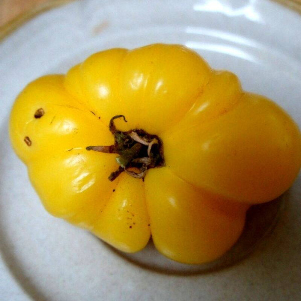 Tomato seeds «Lillian's Yellow»