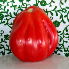 Tomato seeds «Gezahnte»