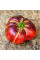 Tomato seeds «Lovely Lush»