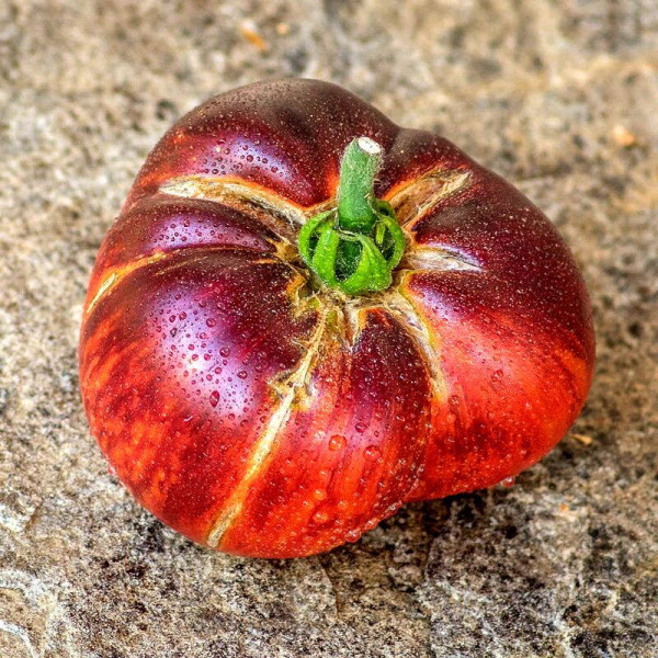 Tomato seeds «Lovely Lush»