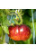 Tomato seeds «Lovely Lush»