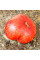 Tomato seeds «Lovely Lush»