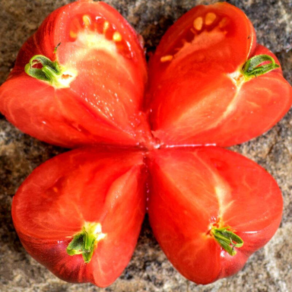 Tomato seeds «Lovely Lush»