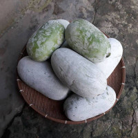 Wax gourd seeds «Thai mini»