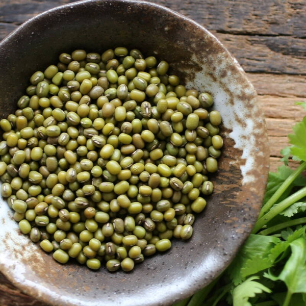 Насіння бобів мунг (Маш) / Vigna radiata