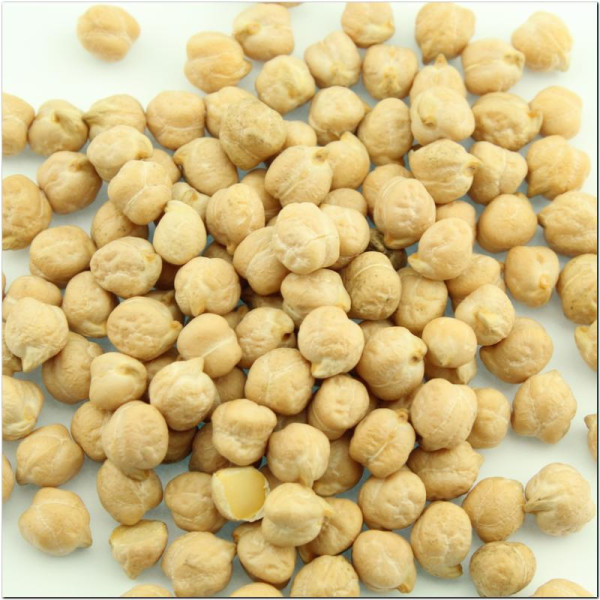 Chickpeas seeds «Krasen»