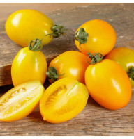 Tomato seeds «Datterini yellow»