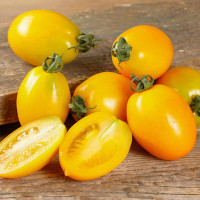 Tomato seeds «Datterini yellow»