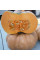 Pumpkin seeds «Muscat de Provence»