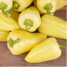 Sweet pepper seeds «Bilozerka»