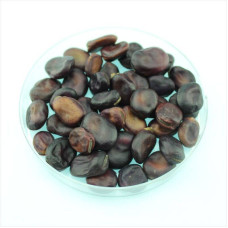 Beans seeds «Extra Grano Violetto»