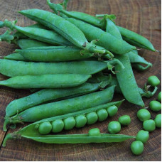 Pea seeds «Omega»