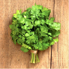 Coriander seeds «Nectar»