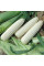 Corn seeds «Mermaid»