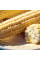 Corn seeds «Rotterdam» F1
