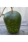 Calabash seeds «Big Apple»