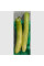 Calabash seeds «Big Green Sausage»