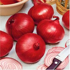 Onion seeds «Ruby»