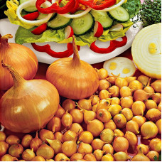 Onion seeds «Stuttgarten Riesen»