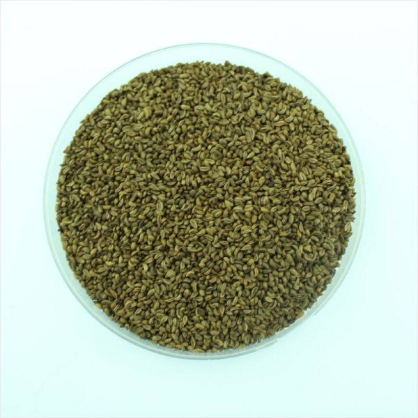 Parsley seeds «Commune 2» (all-season)