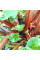Rhubarb seeds