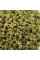 Beet seeds «Sugar»