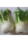 Fennel vegetable seeds