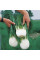 Fennel vegetable seeds