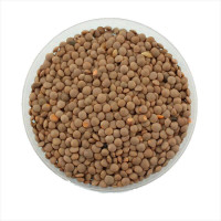 Lentil seeds (small-seeded)